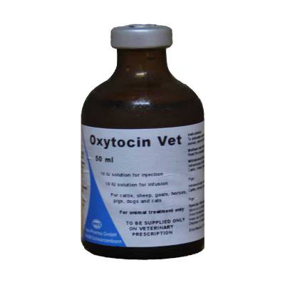 Obat Hewan Peliharaan Oxytocin Vet 