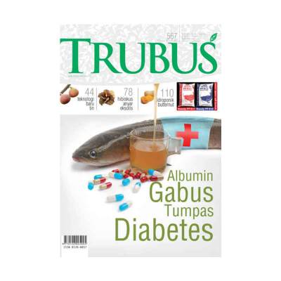 Majalah Albumin Gabus Tumpas Diabetes (Februari 2017)