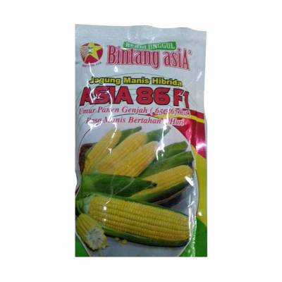 Benih Jagung Manis ASIA 86 F1 (Small Pouch)