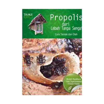 Buku Propolis dari Lebah Tanpa Sengat