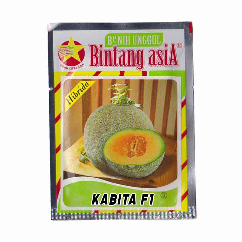 Benih Melon Kabita F1 Medium