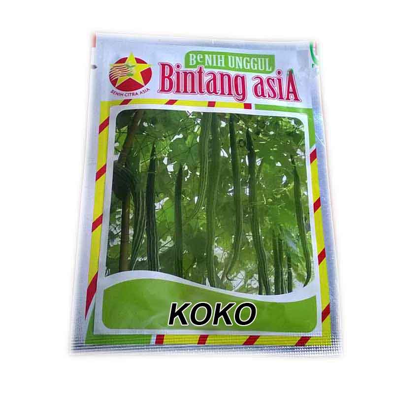 Bibit Paria Koko F1 Medium