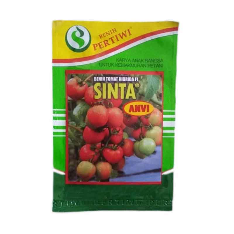 Benih Tomat Sinta BP (Small Pouch)