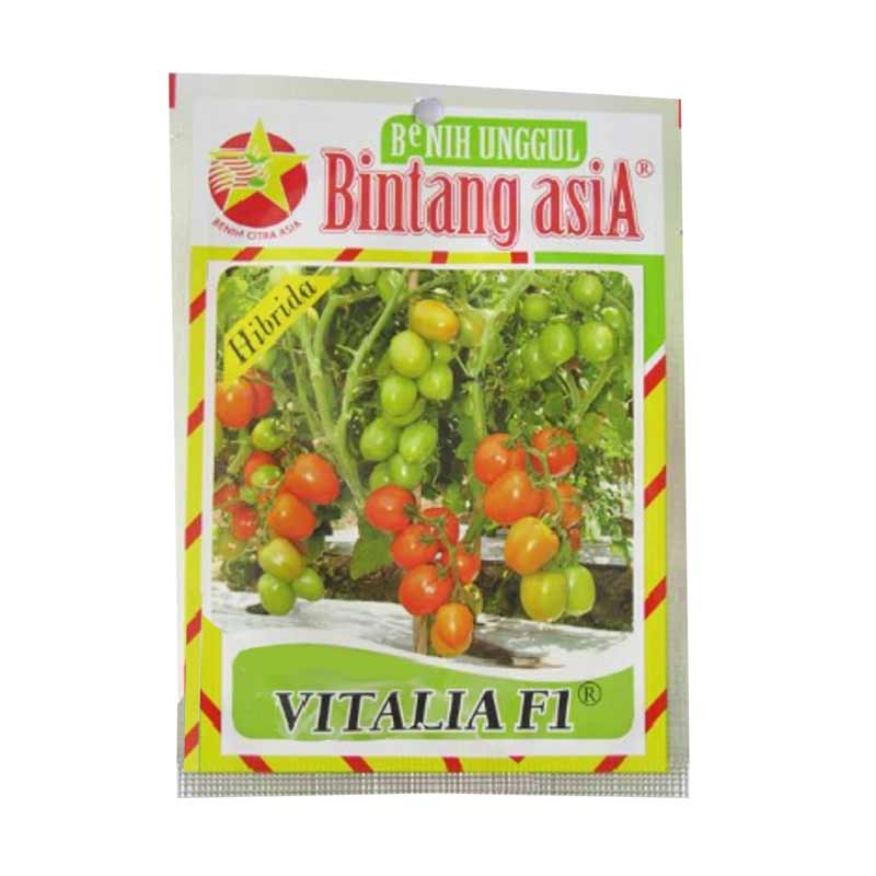 Benih Tomat Vitalia F1 (Regular)