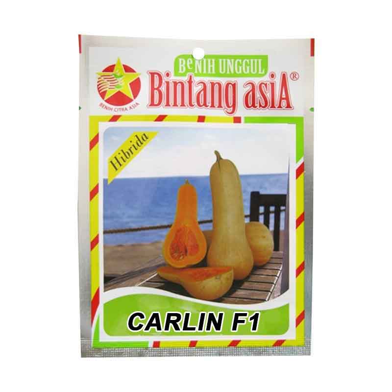 Benih Waluh Carlin F1 (Medium)